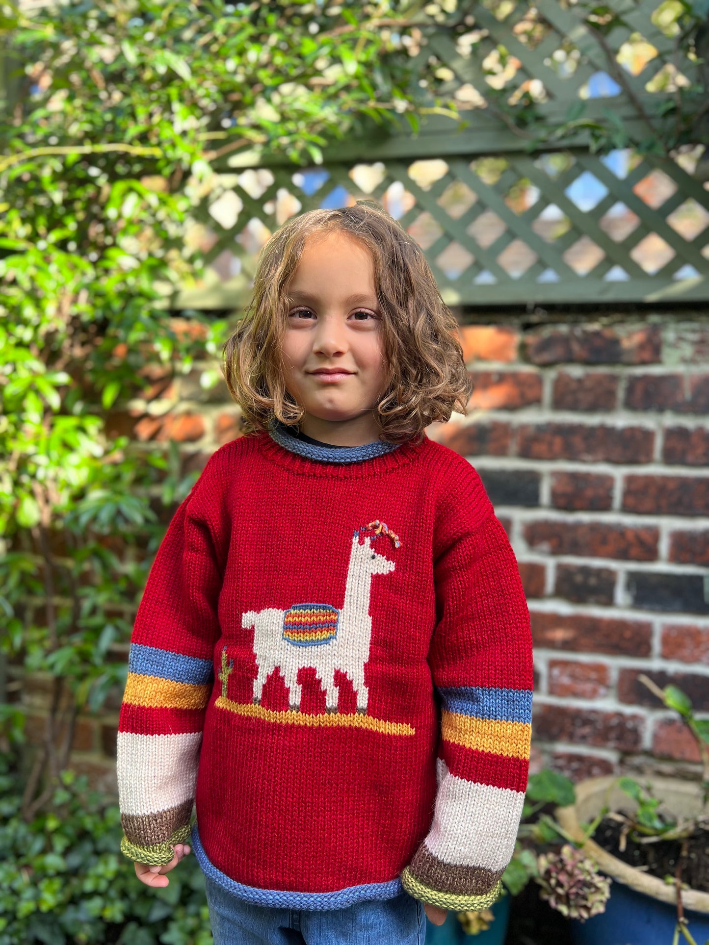 Toddler llama knit jumper, red llama pullover made from alpaca wool, Llama sweater, Llama gilrl boy clothing