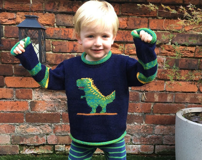 Navy Dinosaur Hand-Embroidered Alpaca Kids Jumper, photo 5