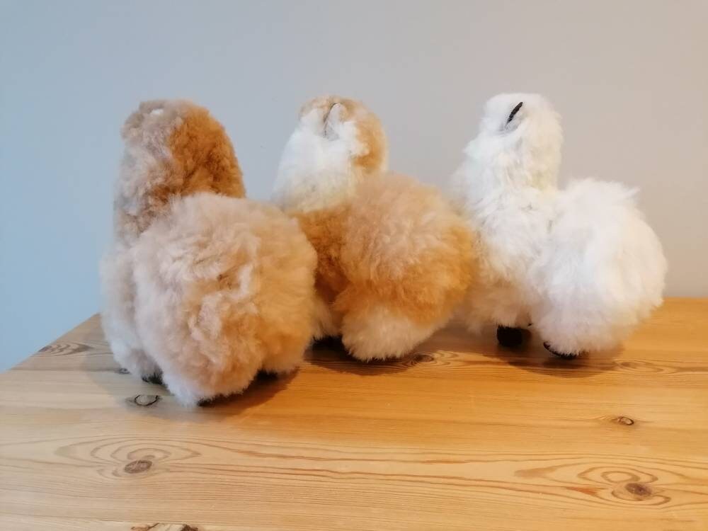 Large Cuddly Baby Alpaca Plushie, photo 5