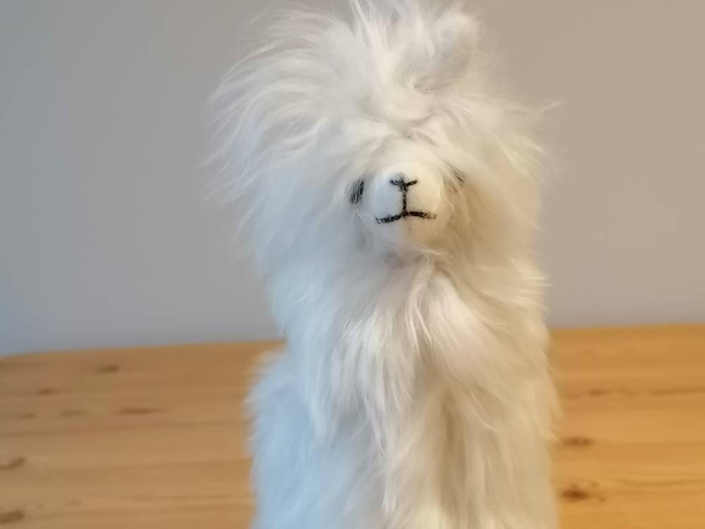 Large Long-Haired Suri Baby Alpaca Plushie, photo 3