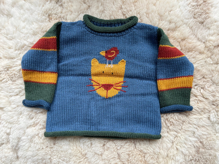 Denim Blue Cat & Bird Hand-Embroidered Alpaca Kids Jumper