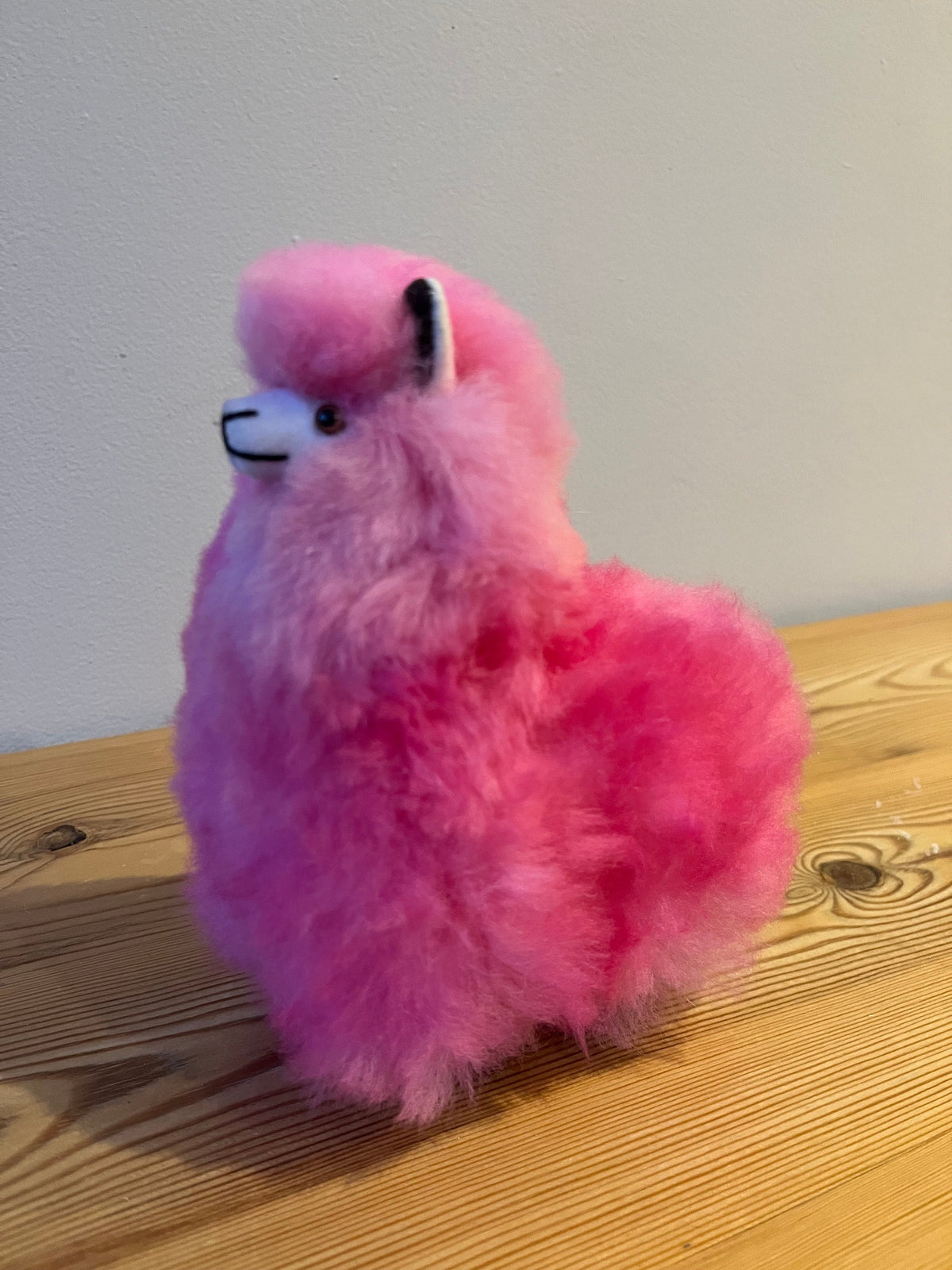 Small Cuddly Baby Alpaca Llama Plushie, photo 3