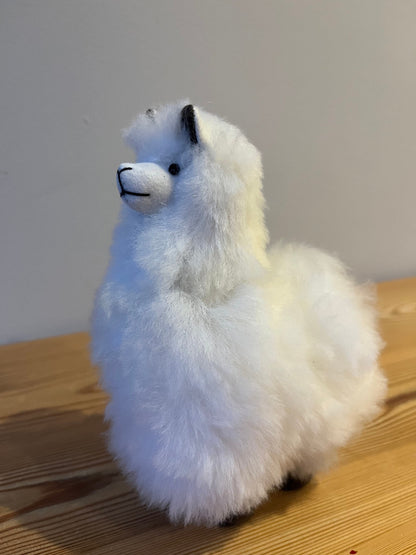Small Cuddly Baby Alpaca Llama Plushie, photo 5