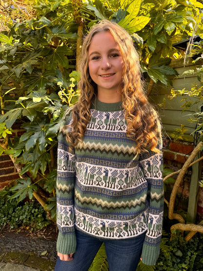 Llama Fair Isle Alpaca Jumper, photo 4