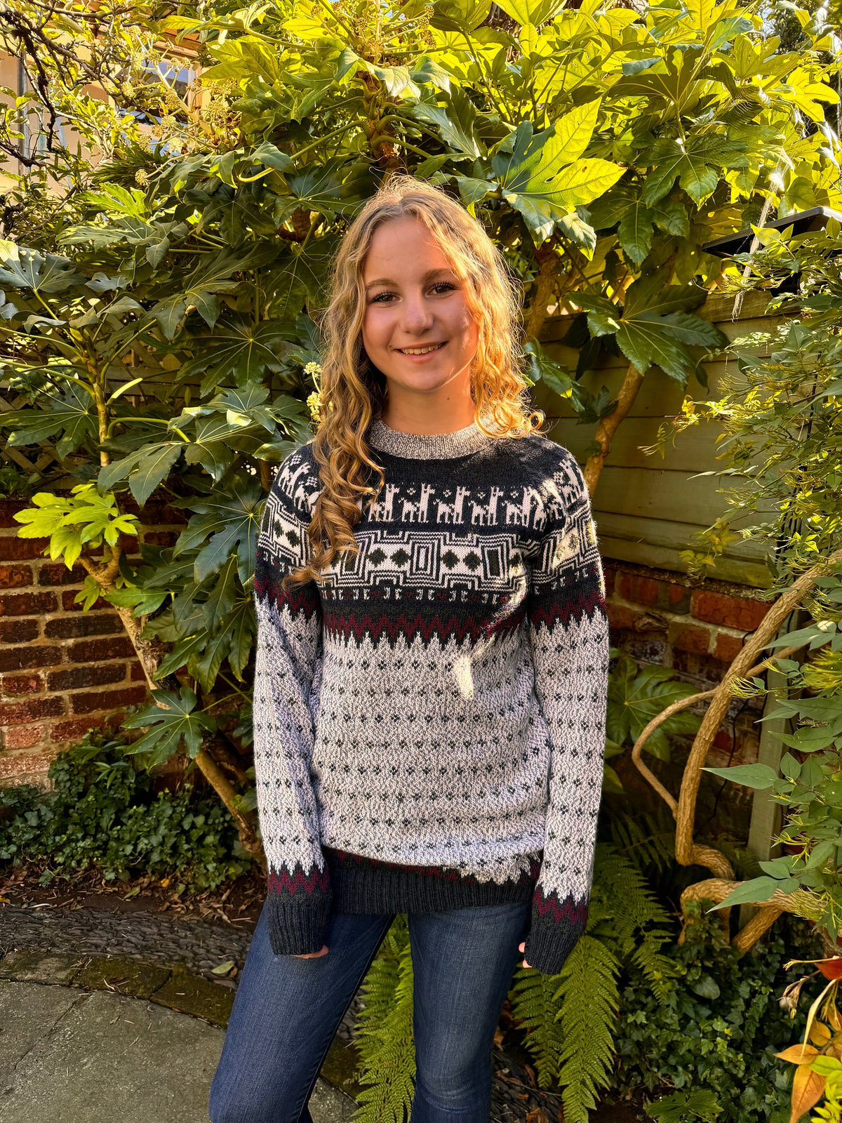 Grey Llama Yoke Alpaca Jumper, photo 2