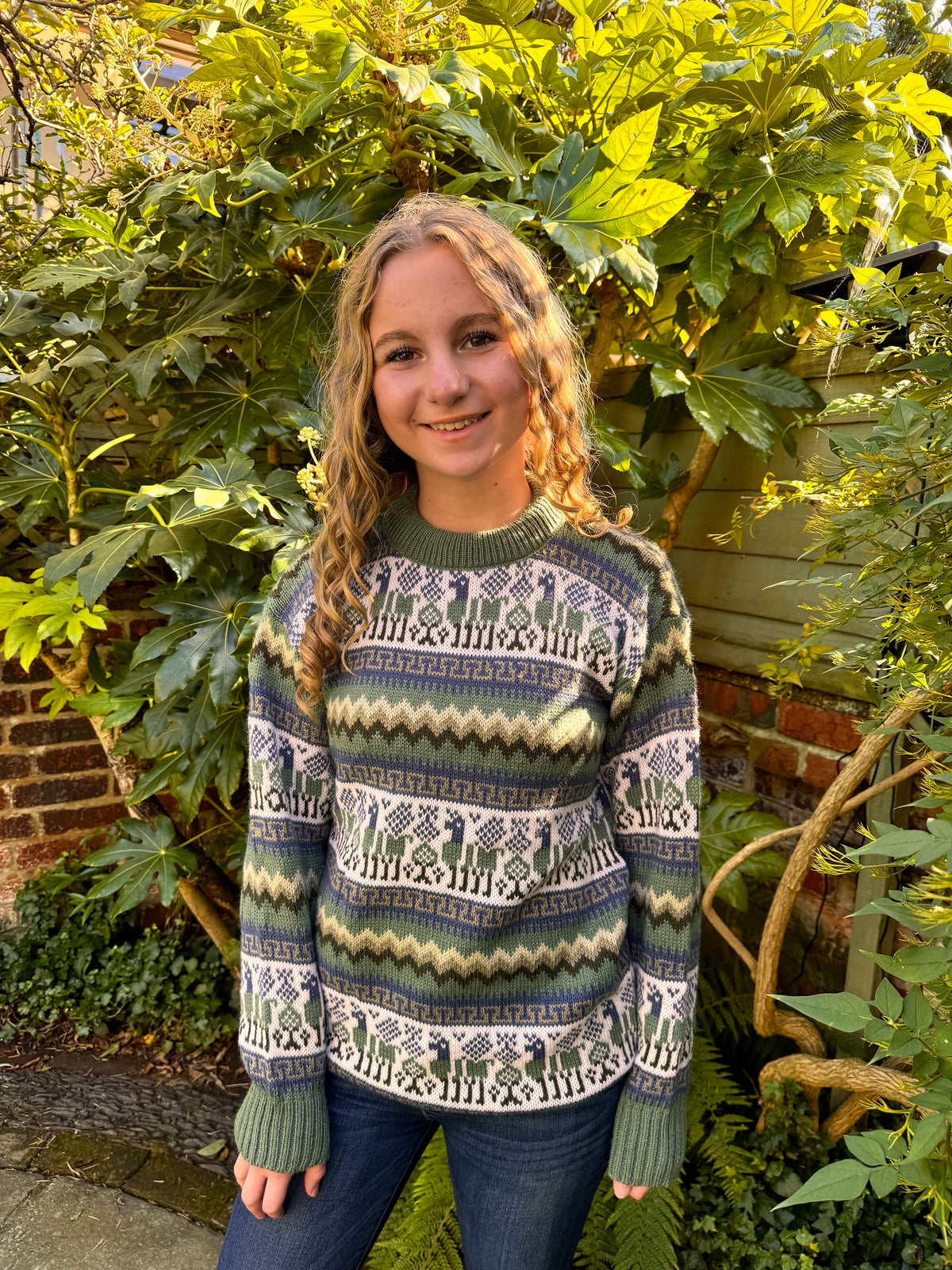 Llama Fair Isle Alpaca Jumper, photo 3