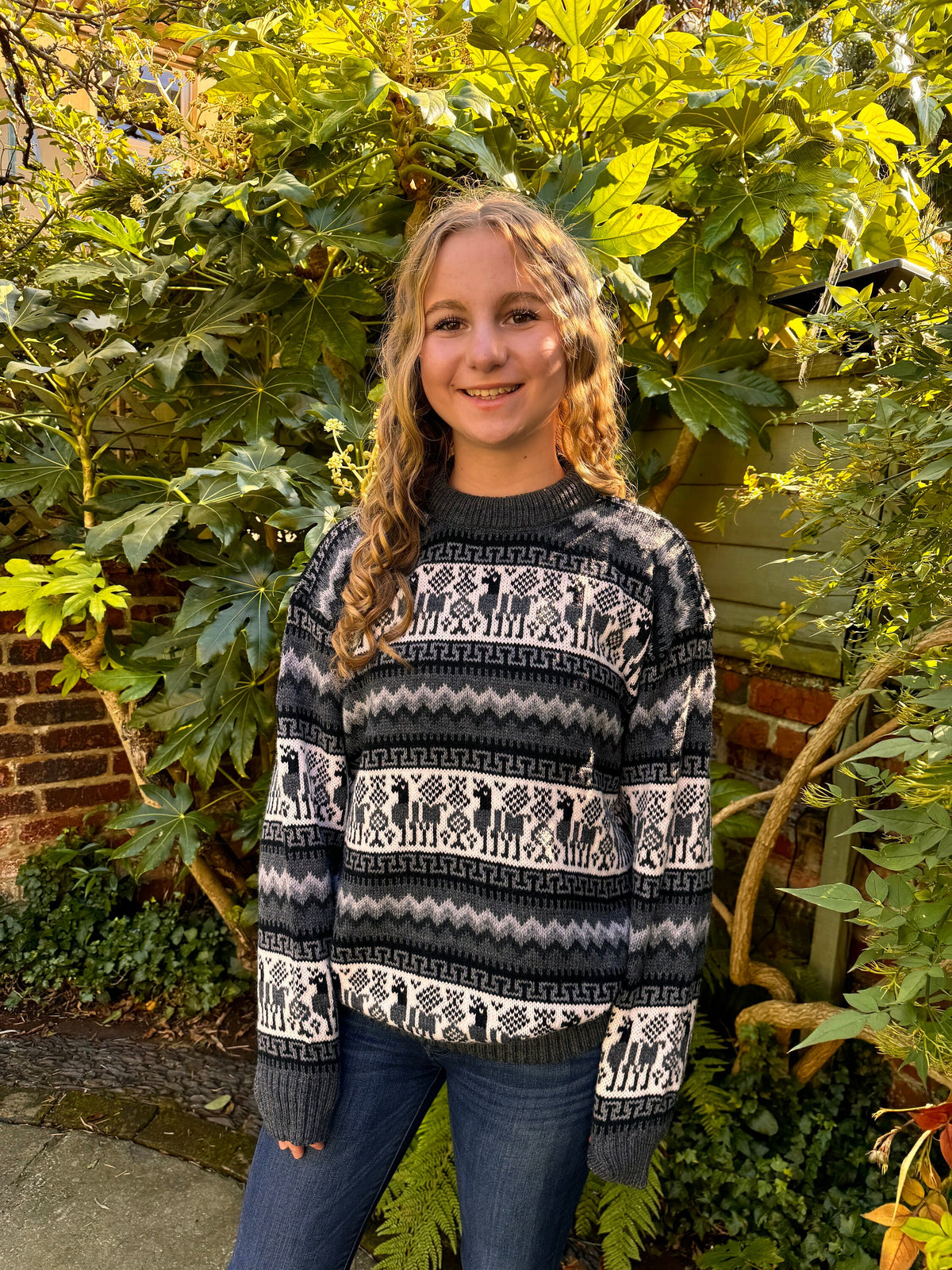 Llama Fair Isle Alpaca Jumper, photo 6