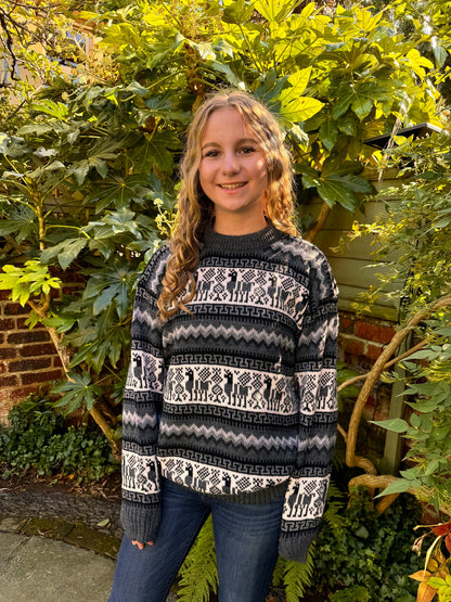 Llama Fair Isle Alpaca Jumper, photo 6