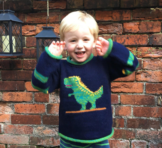 Tyrannosaurus Rex Dinosaur alpaca jumper, Boy Alpaca Jumper Dinosaur motif, Boy Alpaca Jumper Sweater Dinosaur motif,