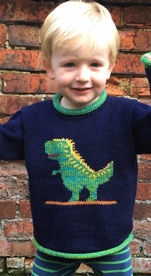 Navy Dinosaur Hand-Embroidered Alpaca Kids Jumper