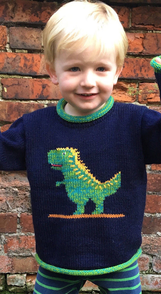 Navy Dinosaur Hand-Embroidered Alpaca Kids Jumper