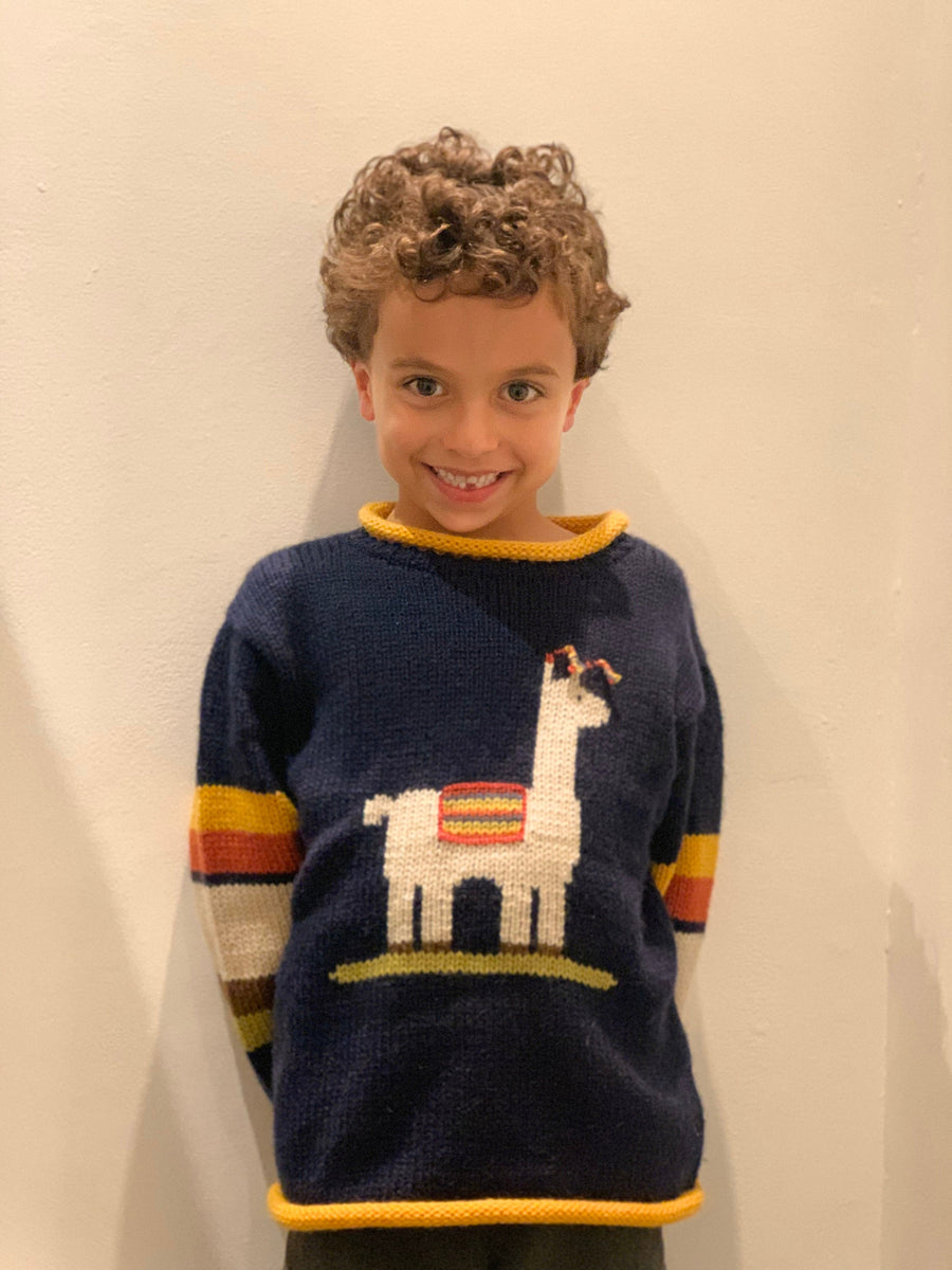 Navy Llama Hand-Embroidered Alpaca Kids Jumper